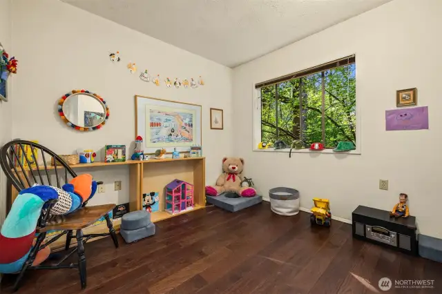 Bonus room on lower level, currently used as a playroom
