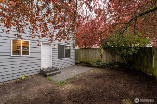 Backyard