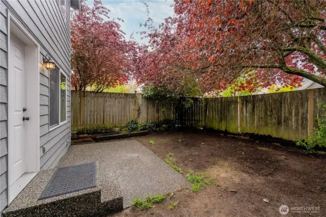 Backyard