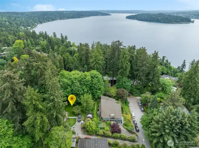 Surrounded by mature evergreen trees