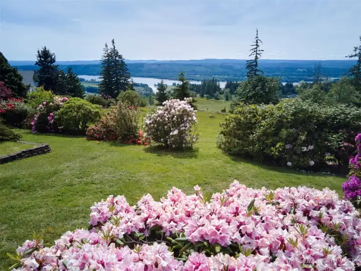 Spring Blooms & views!