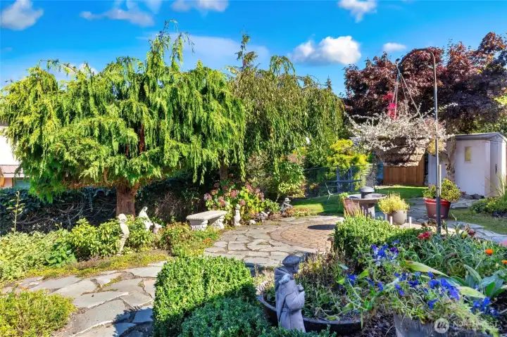 Look at the gorgeous foliage. It is simply breathtaking. Wait until you see it in person! Its even better!