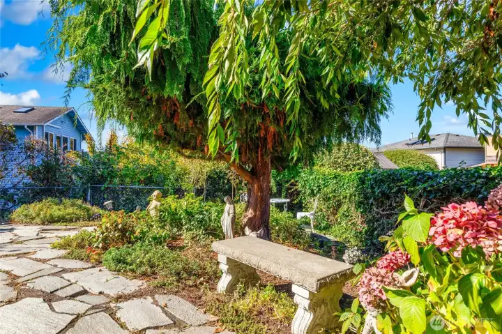 Lovely flowering bushes, gorgeous trees and so much more!