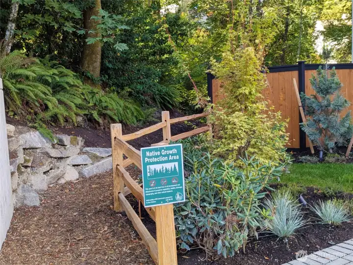 All four homes back up to a protected nature reserve.