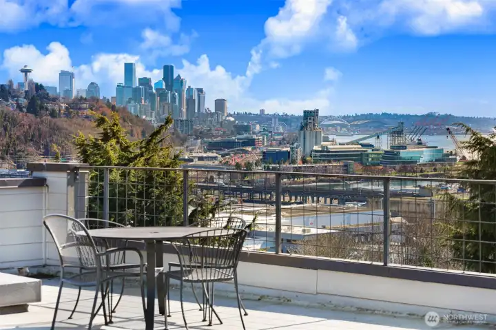 Come home every day to these amazing roof deck views (and Mount Rainier, when she feels like showing herself) - you'll love life in Magnolia!