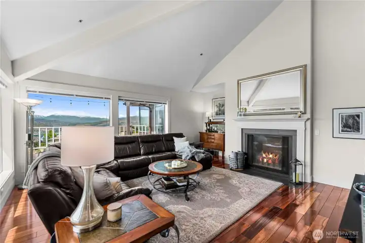 Propane fireplace and acaia wood flooring.