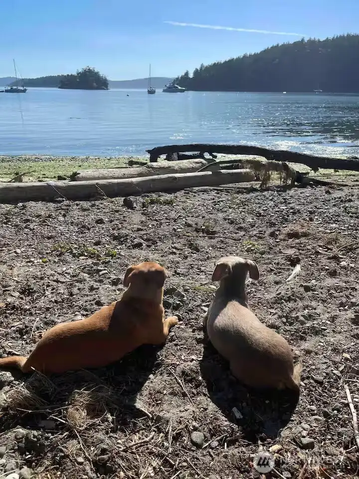 Spectacular views from the beach and great place to launch a kayak or relax in the sunshine.