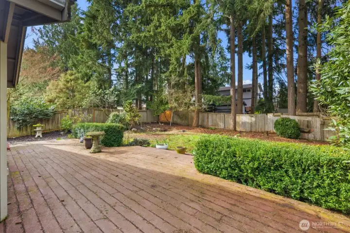 Private backyard with spacious patio, mature landscaping, and fenced yard surrounded by tall evergreen trees.