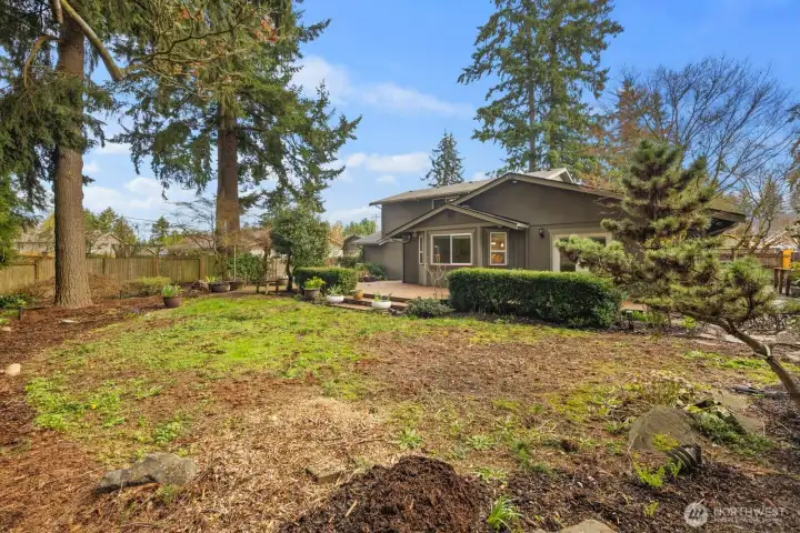 Large backyard framed by mature evergreens, providing shade, privacy, and a natural Pacific Northwest setting.