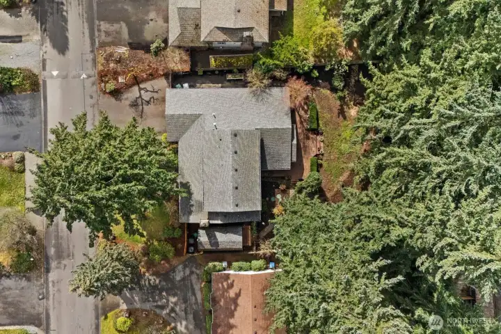 Aerial top-down view of the property showing the home’s footprint, surrounding mature trees, and private backyard setting.