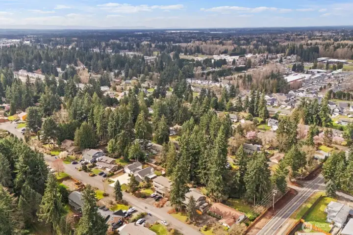 Drone view capturing the home’s location within a quiet residential area surrounded by mature evergreens.