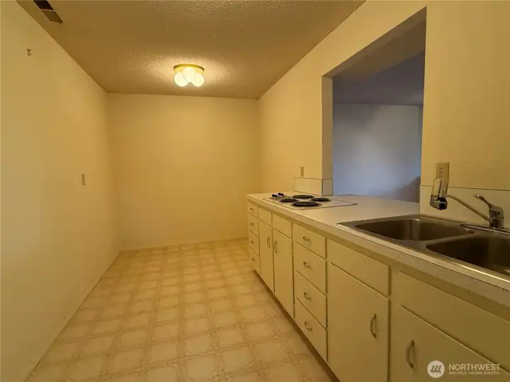 Lower level kitchen