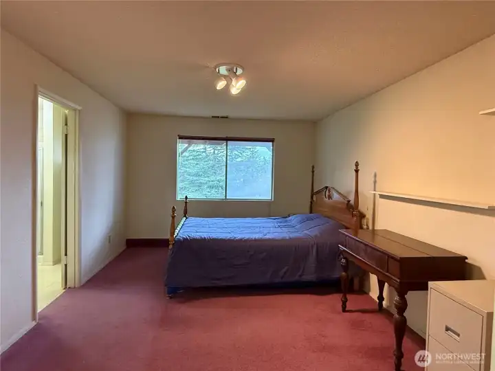 Lower level Bedroom with Walk in closet and 3/4 Large bathroom