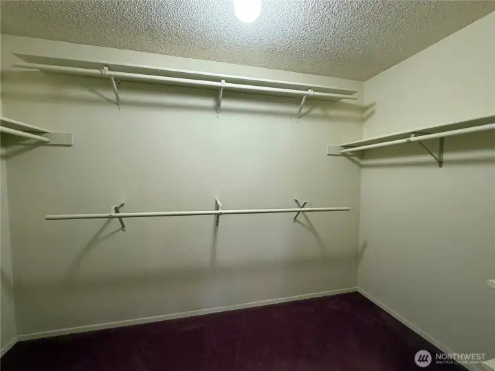 Lower level walk-in Closet
