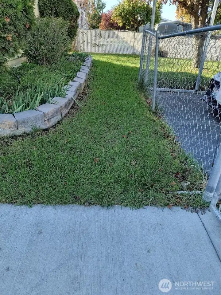front lawn