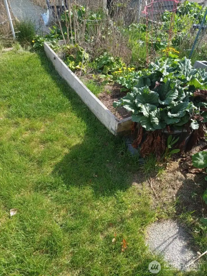 raised bed