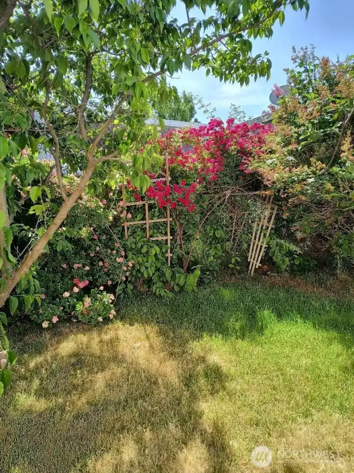 flower corner
