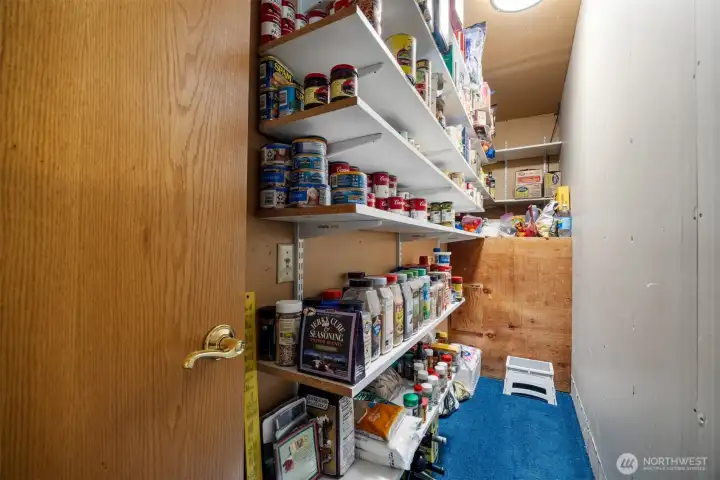 This walk-in pantry is so useful and just right in the kitchen.