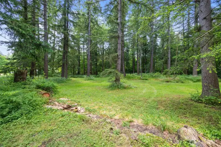 The back portion of the property is level and a great place to ride a quad or dirt bike...or fence it off and have goats and chickens.