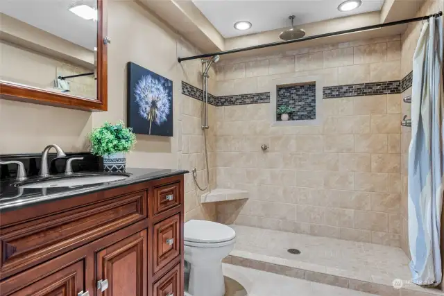 Basement - full size bathroom with rainfall shower head and built-in towel/toiletry closet.
