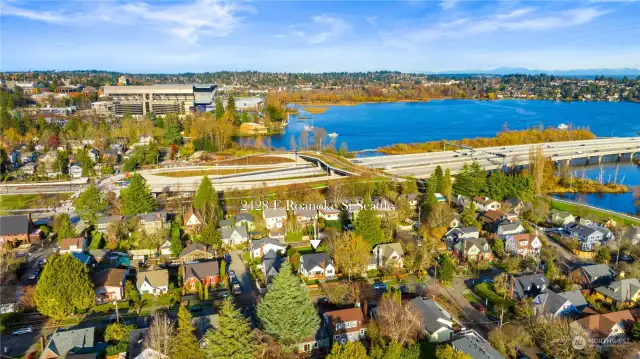 Beautiful setting near Lake Washington,University Washington,The Montlake cut and cascade mountain range when you live here.  It is minutes to all things in Seattle.