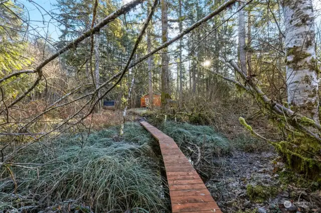 Enjoy boardwalks through the enchanted forest!