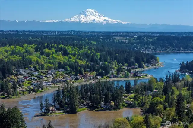 Aerial View of Neighborhood