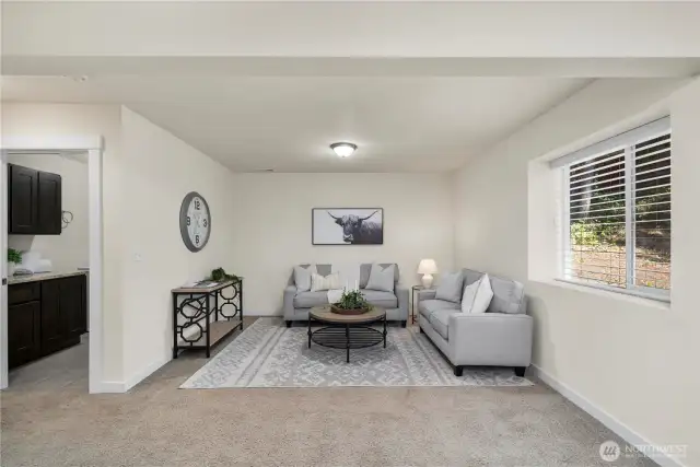 Rec- Room on Lower Level