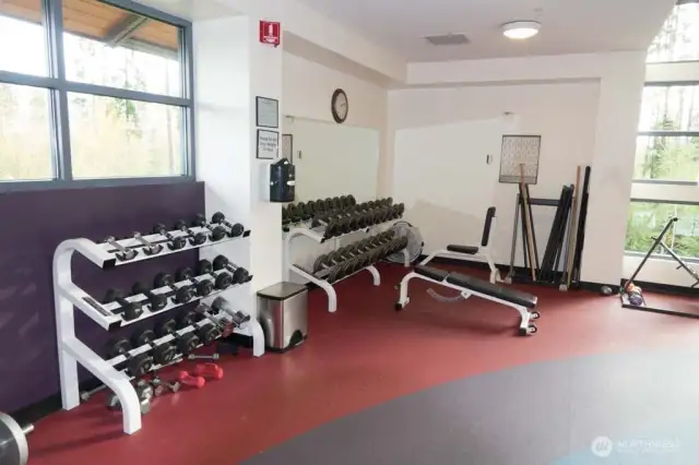 Free weights and much more.