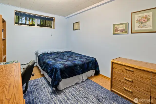 Bonus room in the basement.
