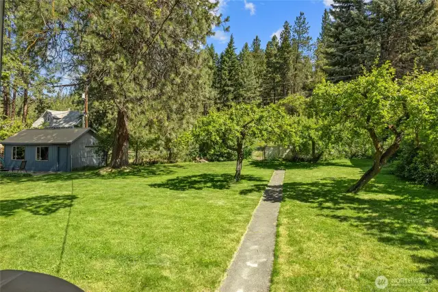 Pathway thru the backyard leads to the one car garage and alley behind the home.