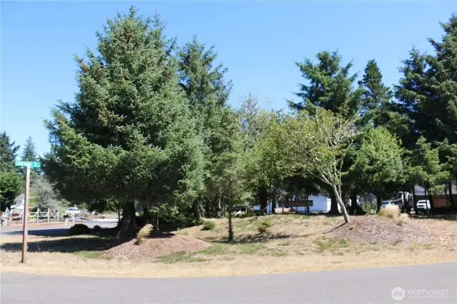 Second nieghborhood park