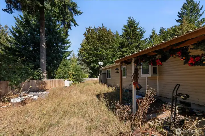 back yard