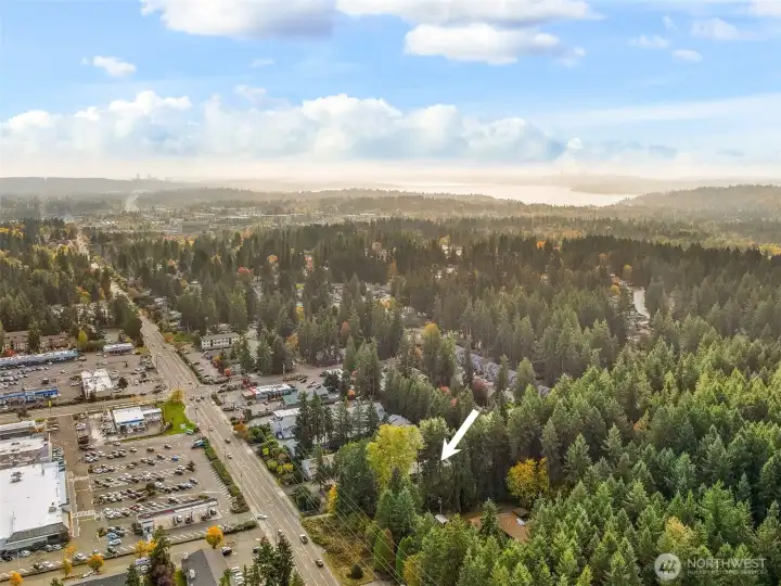 Olympic Village is conveniently located near shopping, dining, schools, bus lines, and Totem Lake.