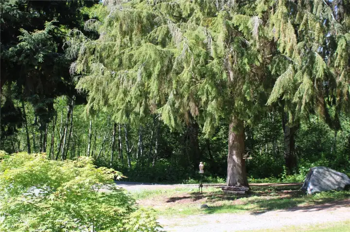 Circular Driveway provides ample parking and easy access and exiting.