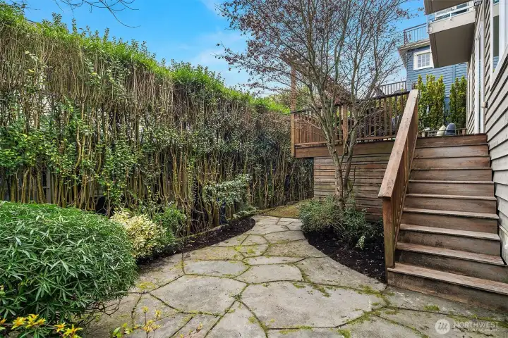 Stone Patio (Backyard)