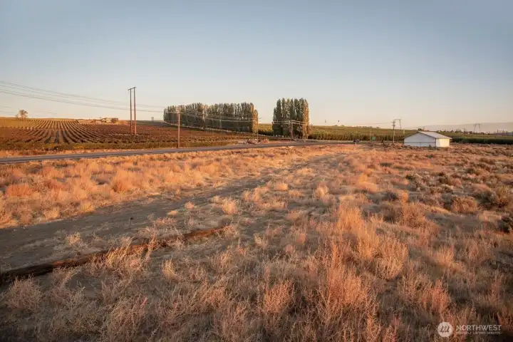 Overview of the 11 acres looking towards the 243 Highway.
