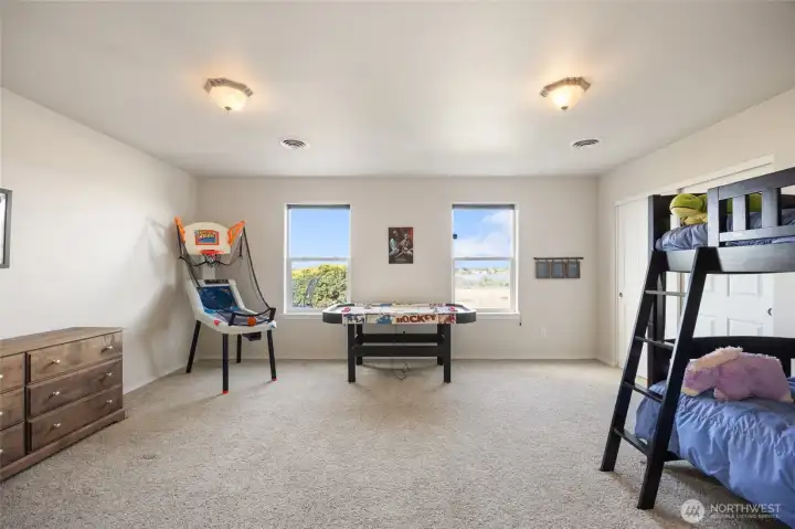 Enormous bedroom on the lower level (bedroom 3)