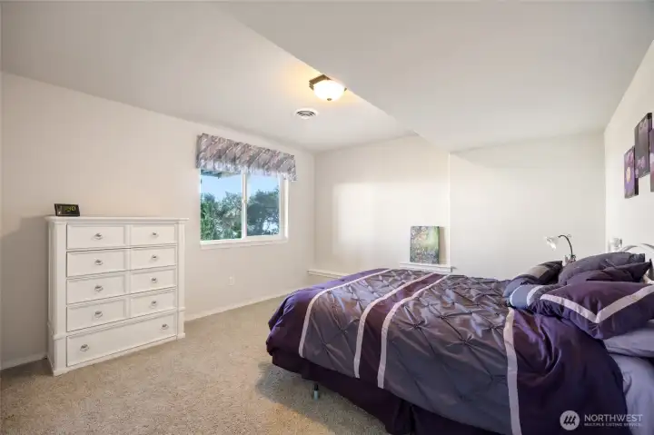 Bedroom 4 - lower level