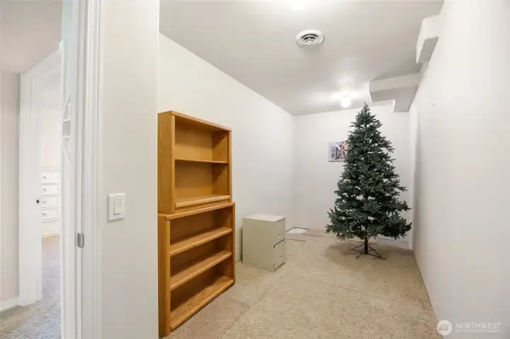 Large storage area on the lower level
