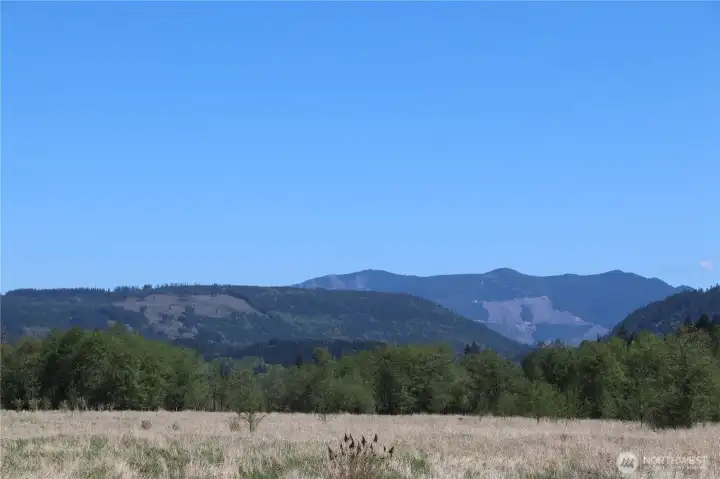 Views looking north...the treeline is approximitly the north property line, towards the eastern end...this grassland is mostly on the property itself