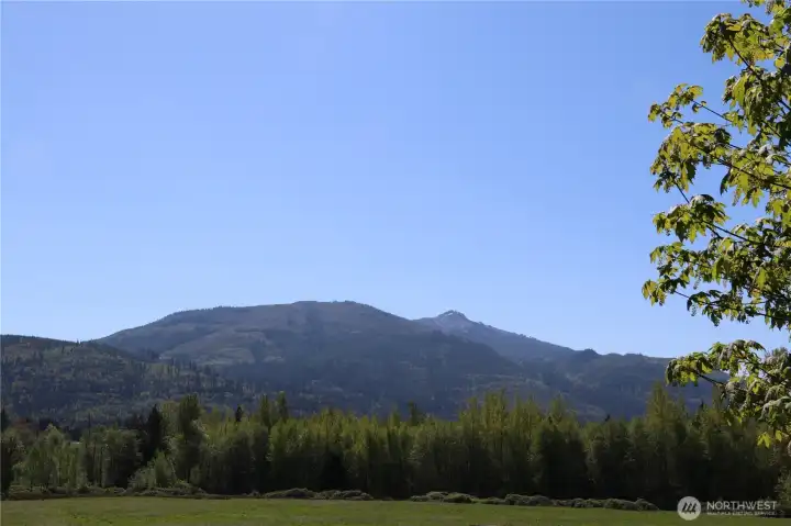 The land begins about where the treeline is, and goes beyond that.  This is looking south from the neighboring site