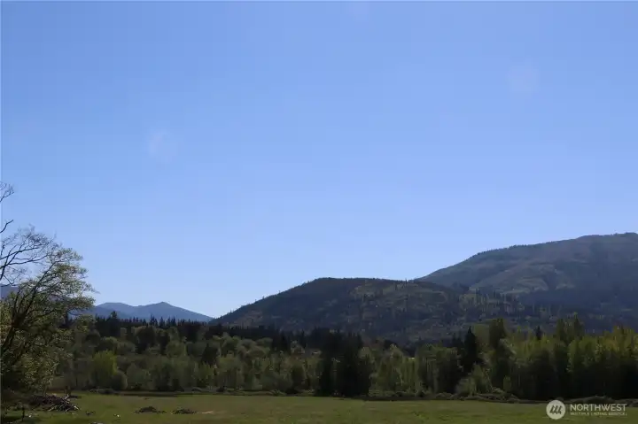Looking over the Northern neighbor's land towards the property, which begins about where the treeline is