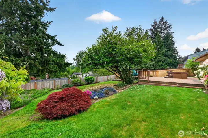 Beautifully landscaped backyard with mature trees, terraced garden beds, and plenty of open lawn space to enjoy. The magnolia tree and the wisteria are gorgeous.