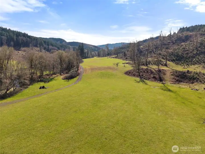 Lush pasture land