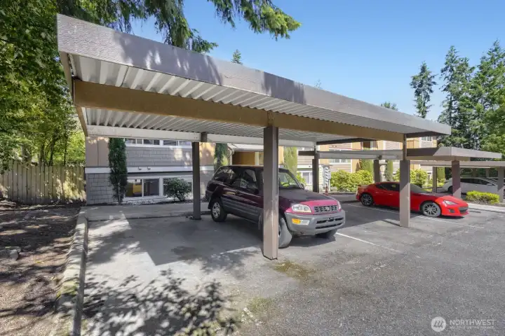 This unit comes with THREE parking spots. Closest carport spot is a corner spot.