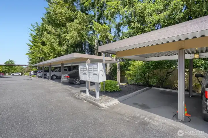 Two carport covered spots and an additional uncovered spot.Look for the green striped cone.