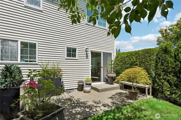 Combination of arborvitae, new plantings, and paver upgrades throughout exterior spaces.