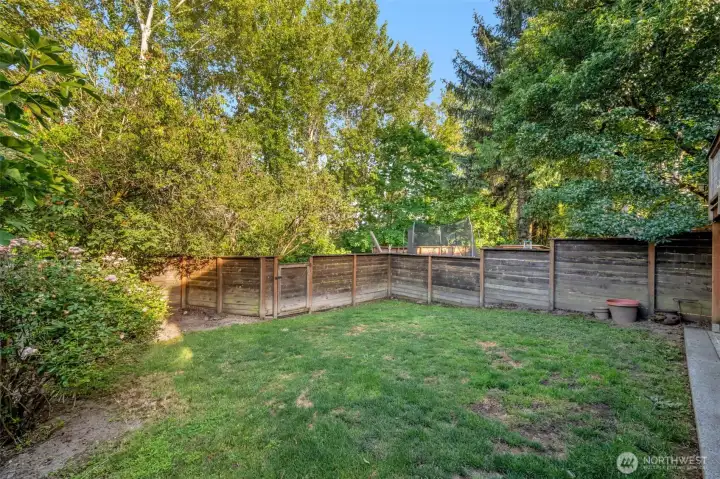 Another view of yard. note the fence gate out to street and Burke Gilman Trail