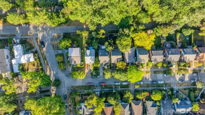 overhead of home and street - you can see the tree canopy covering the trail at the edge of the picture